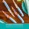 Brilliant Blooms 4-Piece Stainless Steel Steak Knife Set